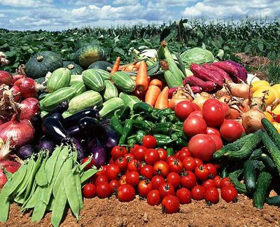 農副產品“價賤傷農”背后 價格低迷為何仍陷銷售困境？